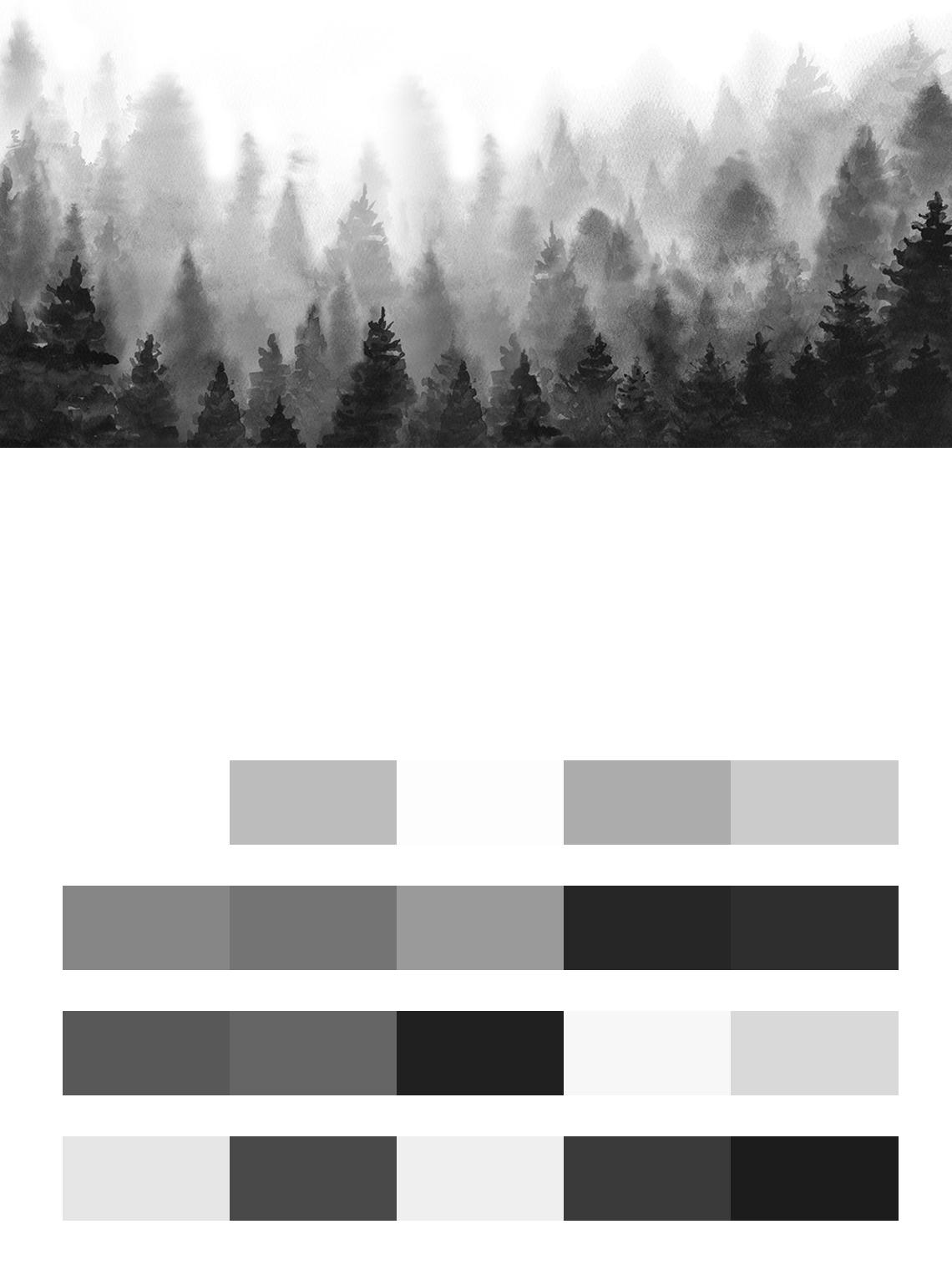 Чёрно-белый лес цвета