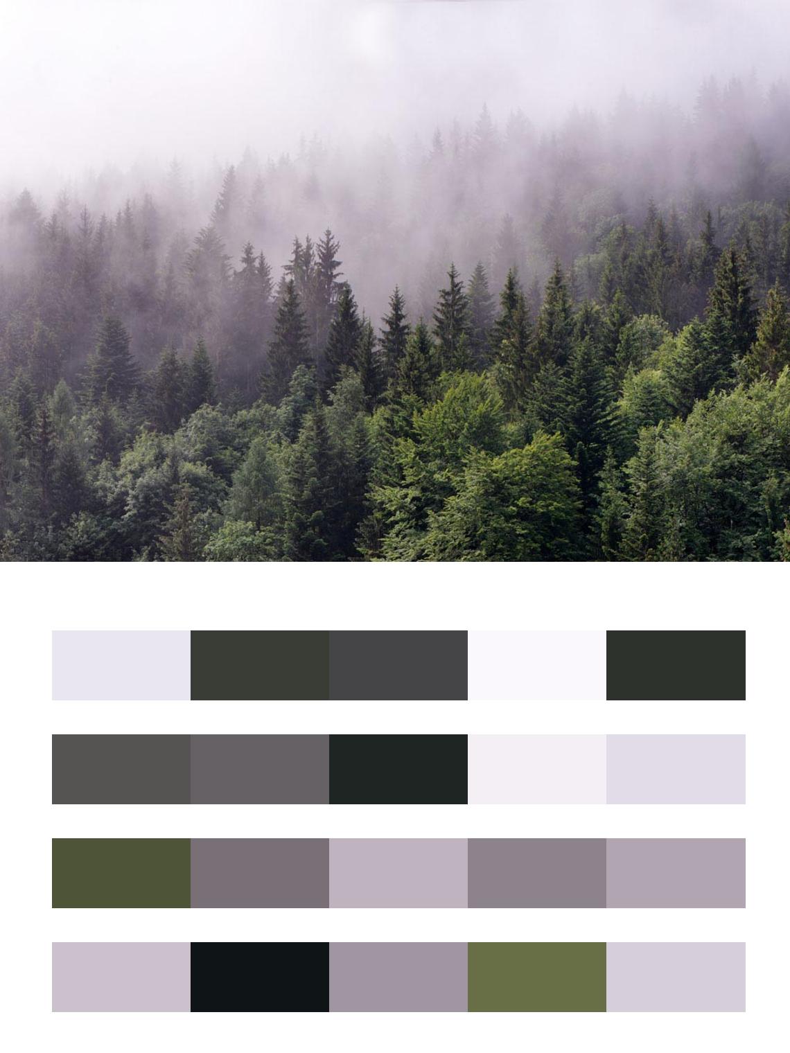 Туман в зеленом лесу цвета